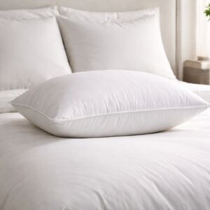 Quince Premium Down Alternative Pillow NWT Standard Medium Firm White